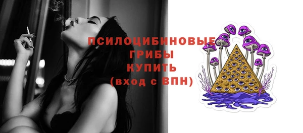 герыч Ладушкин