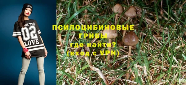 ECSTASY Лабытнанги